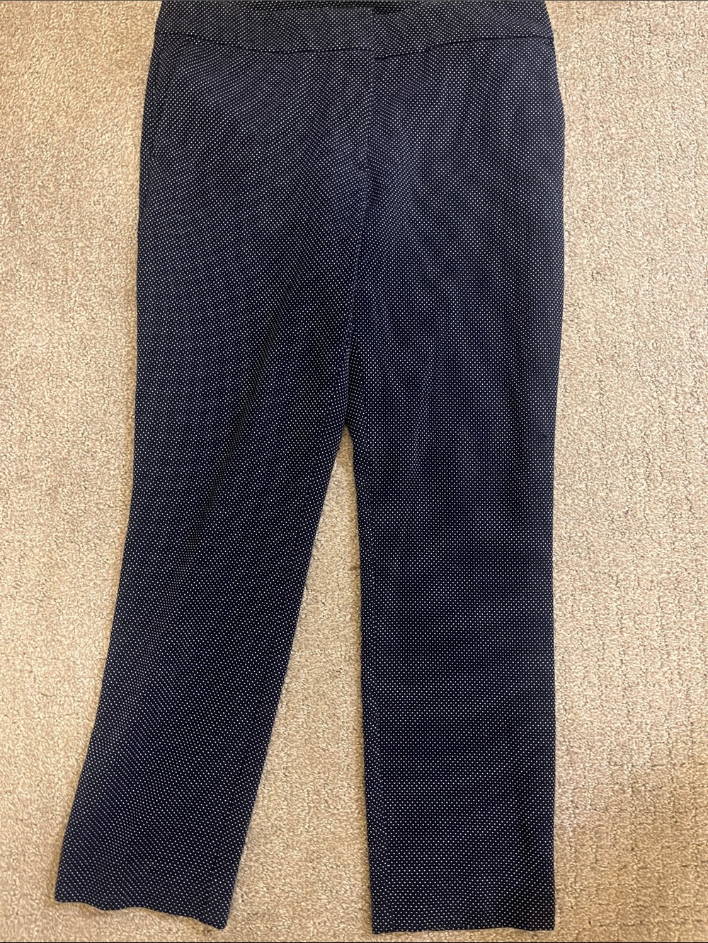 Ann Taylor Factory Navy Micro-Polka Dress Pants